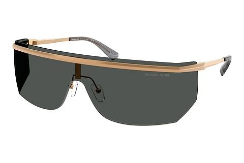 Sunglasses Michael Kors PALISADES (MK1169 189987)