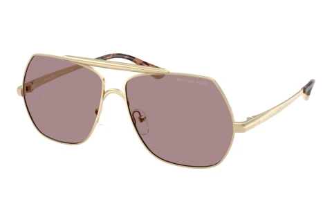 Sunglasses Michael Kors DENVER (MK1173 1014LA)
