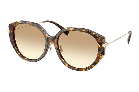 Sunglasses Michael Kors JINAN (MK2248D 401613)