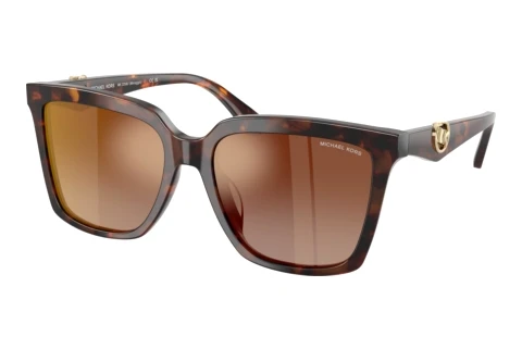 Sunglasses Michael Kors MENAGGIO (MK2256U 4031AO)