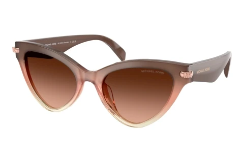Sunglasses Michael Kors ROANOKE (MK2259U 40355M)