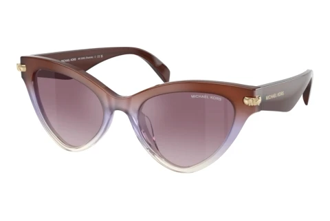 Sunglasses Michael Kors ROANOKE (MK2259U 40366X)