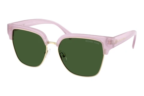 Sunglasses Michael Kors ST. EUSTATIUS (MK2262 403371)