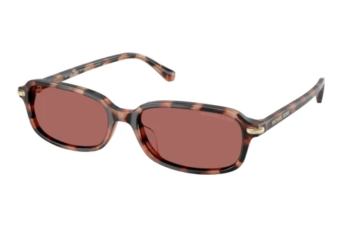 Sunglasses Michael Kors AGRA (MK2288U 327769)
