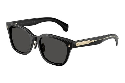 Sunglasses Moncler METROPE (ME6002D 300187)