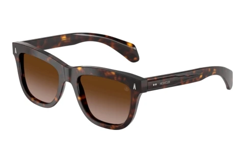 Sunglasses Moncler BRONZZ (ME6023 300213)