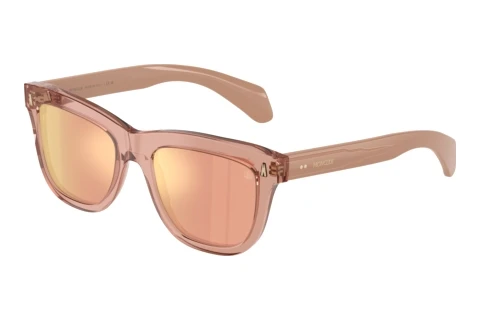 Sunglasses Moncler BRONZZ (ME6023 30087J)