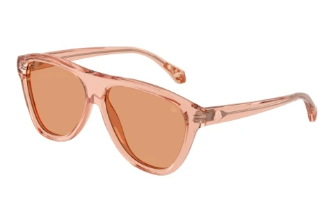 Sunglasses Moncler INCLINE (ME6025U 3045/7)