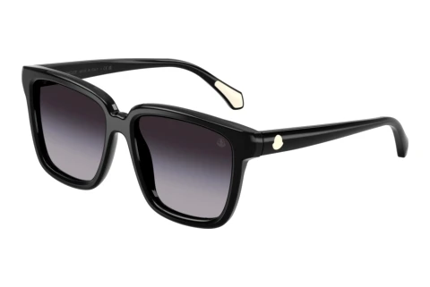 Sunglasses Moncler CLASICO (ME6026 30018G)