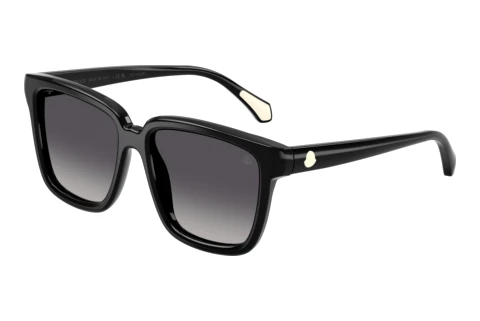 Sunglasses Moncler CLASICO (ME6026 3001T3)