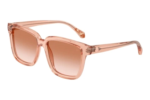 Sunglasses Moncler CLASICO (ME6026 304513)