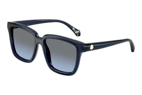 Sunglasses Moncler CLASICO (ME6026 30478F)