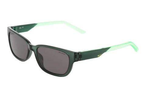 Sunglasses Nike NIKE TIDE CREST IZ5863X 314