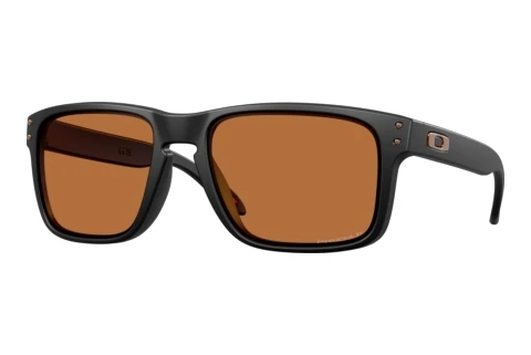 Sunglasses Oakley HOLBROOK (OO9102 9102AM)