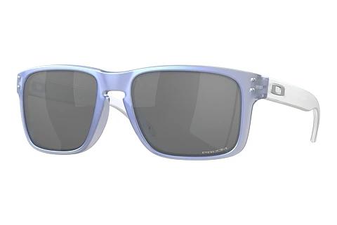 Sunglasses Oakley HOLBROOK (OO9102 9102X8)