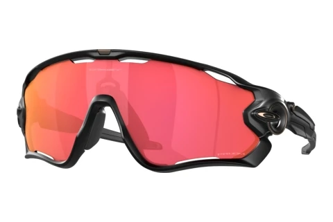 Sunglasses Oakley JAWBREAKER (OO9290 929051)