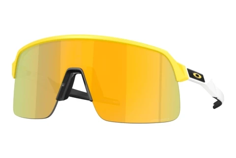 Sunglasses Oakley SUTRO LITE (OO9463 9463B4)