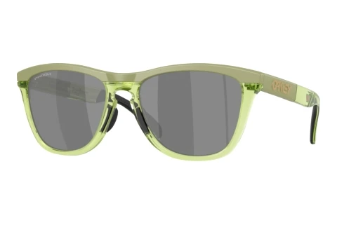 Sunglasses Oakley FROGSKINS RANGE XL (OO9503 950307)