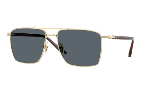 Sunglasses Persol PO1031S 1076R5