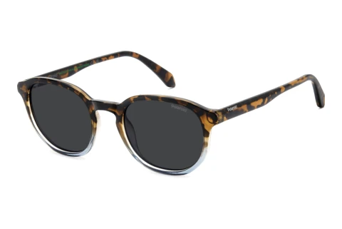 Sunglasses Polaroid PLD 4195/S IPR/M9