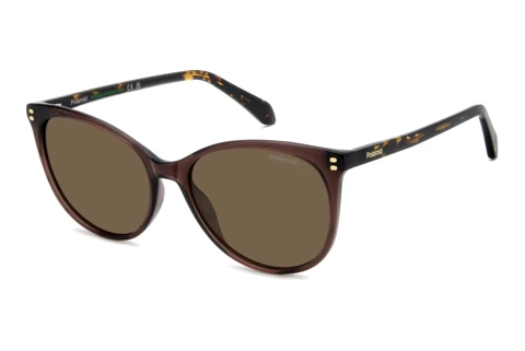 Sunglasses Polaroid PLD 4200/S/X 09Q/SP