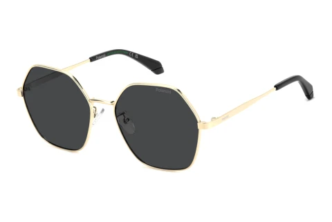 Sunglasses Polaroid PLD 4205/G/S/X 2F7/M9