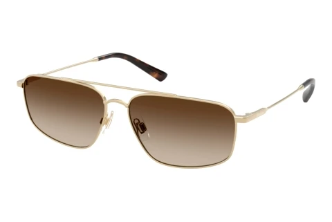 Sunglasses Polo PH3164 939313