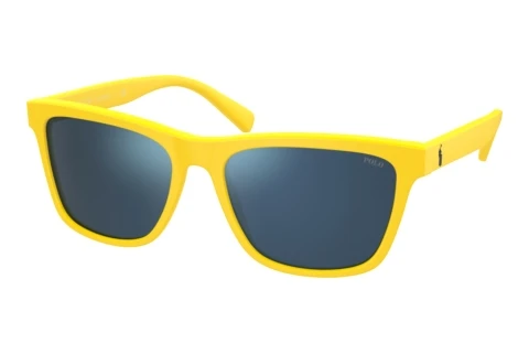 Sunglasses Polo PH4167 542055