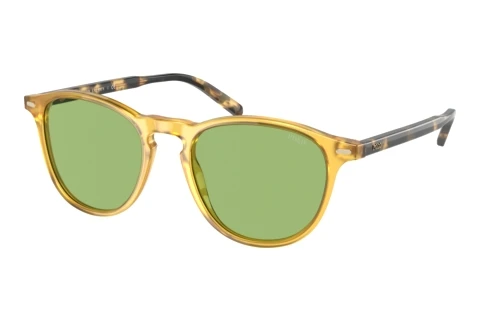 Sunglasses Polo PH4181 5005/2