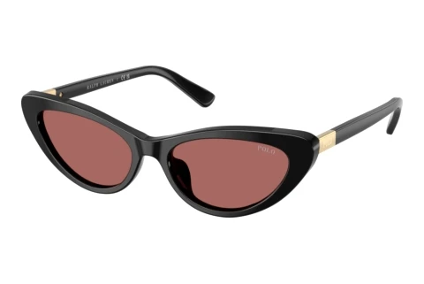 Sunglasses Polo PH4199U 500169