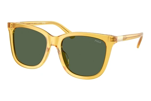 Sunglasses Polo PH4201U 500571