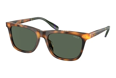 Sunglasses Polo PH4205U 608971