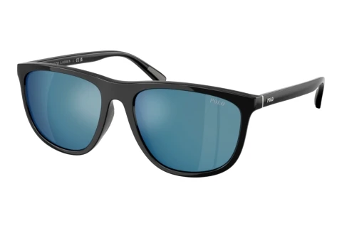 Sunglasses Polo PH4231U 500155