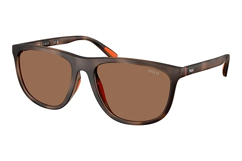 Sunglasses Polo PH4231U 597473