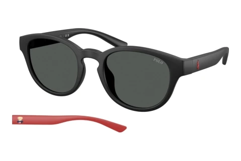 Sunglasses Polo PH4233U 550487