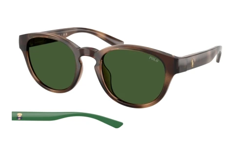 Sunglasses Polo PH4233U 607071