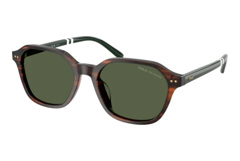 Sunglasses Polo PH4234U 63159A