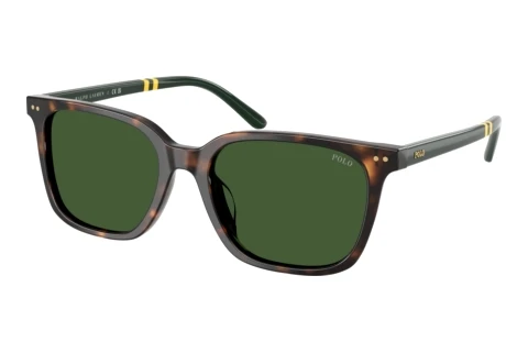 Sunglasses Polo PH4235U 500371
