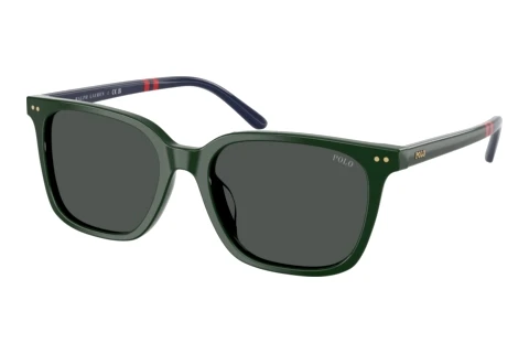 Sunglasses Polo PH4235U 614087