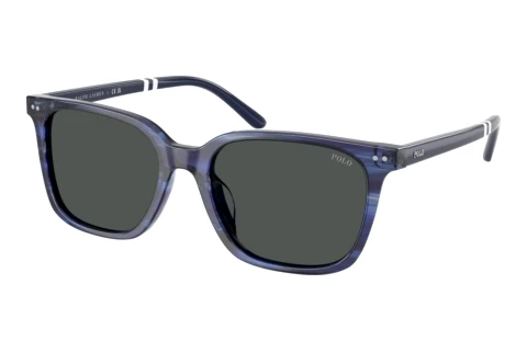 Sunglasses Polo PH4235U 631487