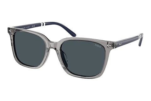 Sunglasses Polo PH4235U 631887