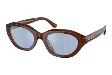 Sunglasses Polo PH4237U 63531U