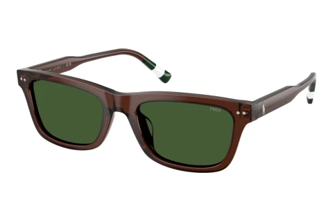 Sunglasses Polo PH4240U 631571