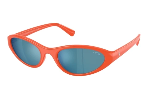 Sunglasses Polo PH4248U 587155