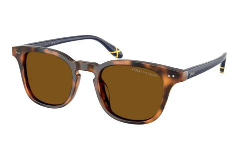 Sunglasses Polo PH4251U 608983