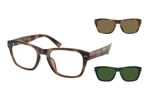 Sunglasses Polo PH4254U 500373