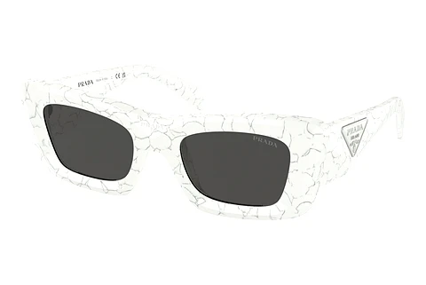 Sunglasses Prada PR 13ZS 17D5S0