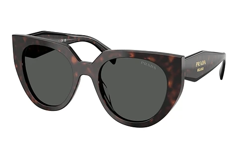 Sunglasses Prada PR 14WS 17N40L