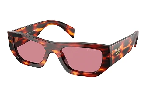 Sunglasses Prada PR A01S 13O80B