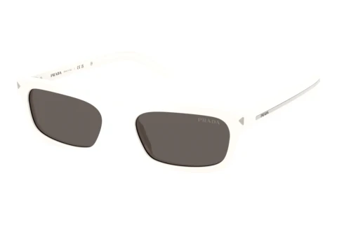 Sunglasses Prada PR D05S 17K731